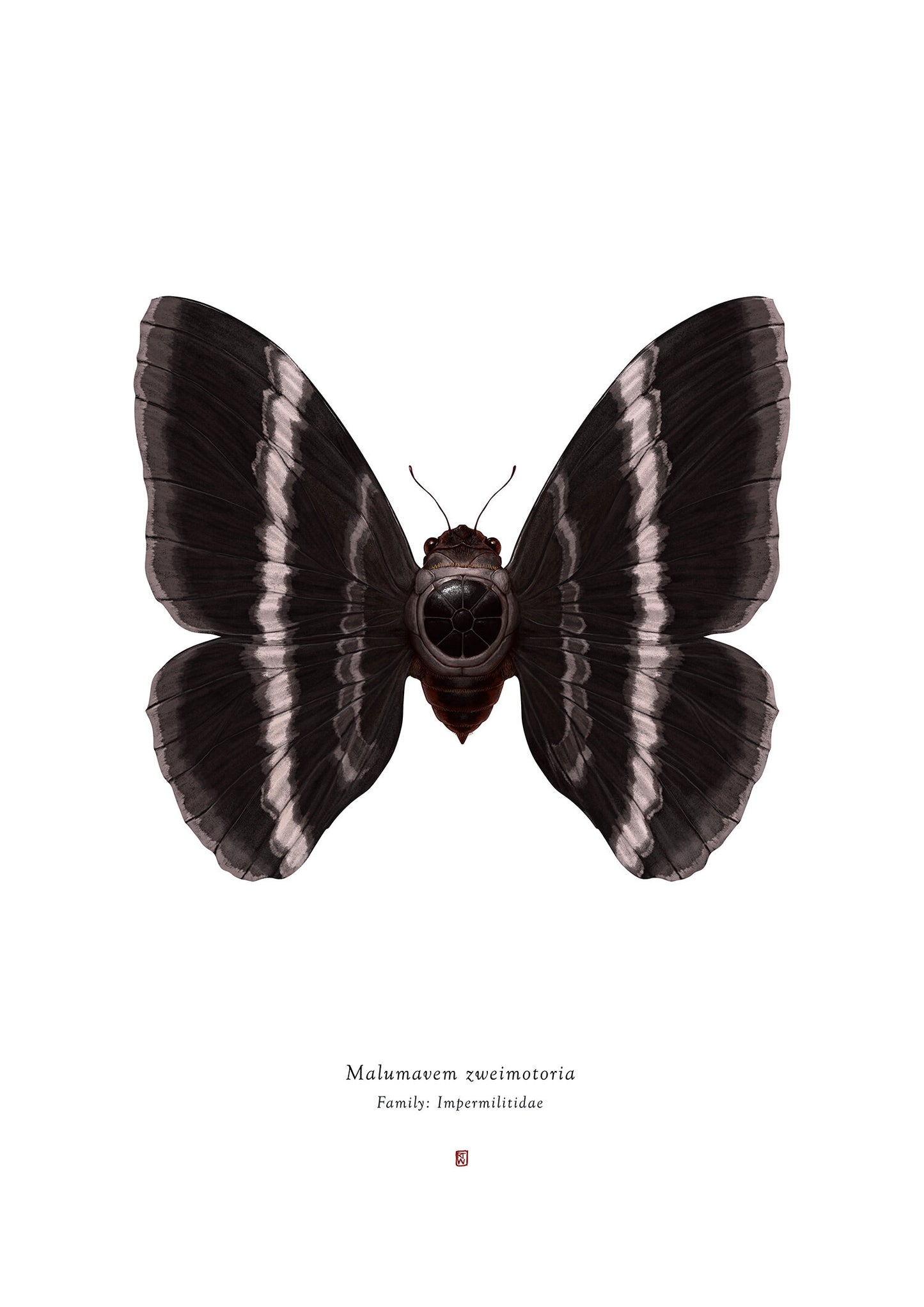 Richard Wilkinson - Malumavem Zweimotoria (Tie Fighter) - (Star Wars Insects - A2 Print)