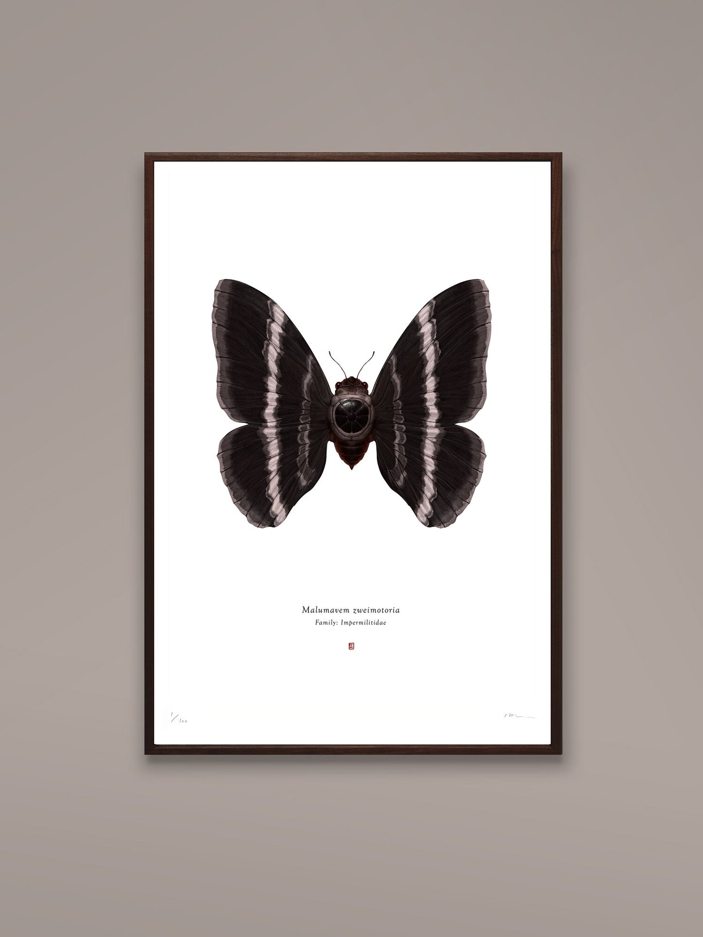 Richard Wilkinson - Malumavem Zweimotoria (Tie Fighter) - (Star Wars Insects - A2 Print)
