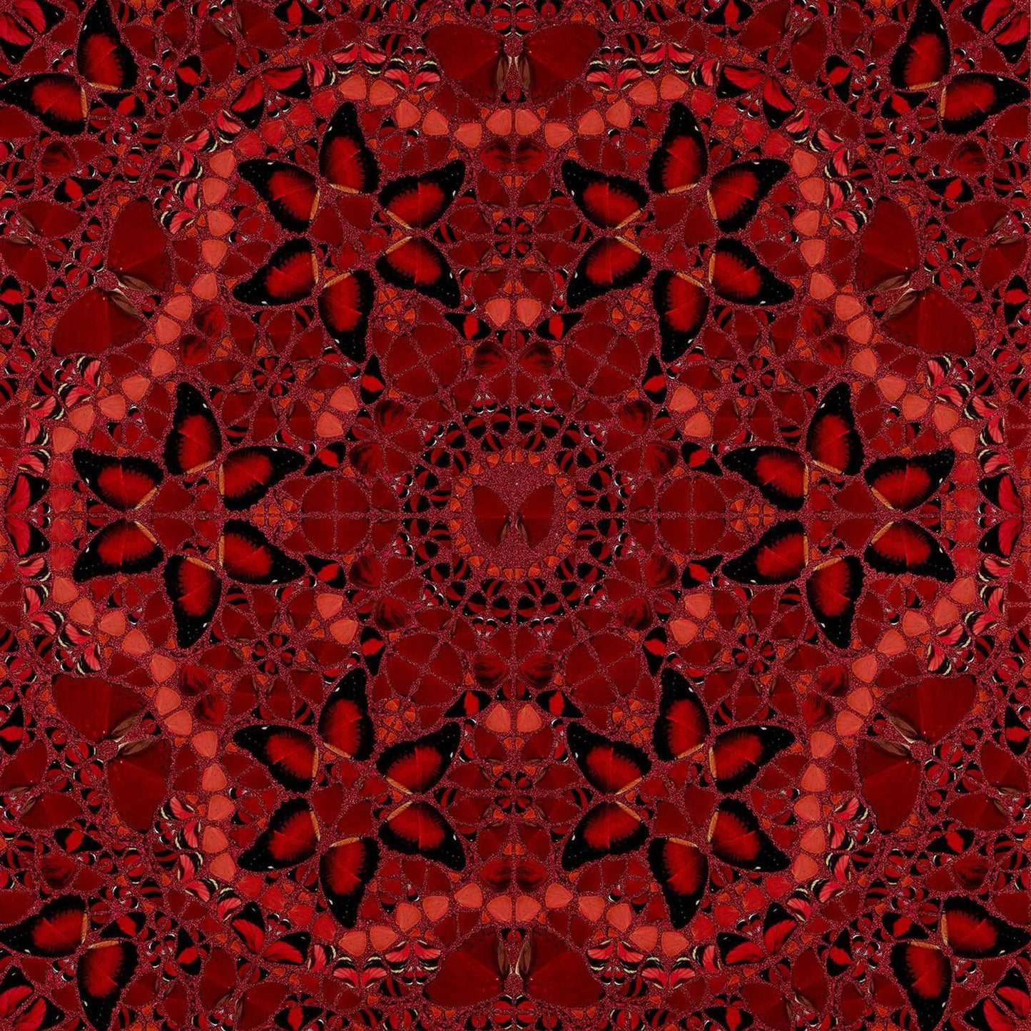 Damien Hirst - The Empresses Full Set