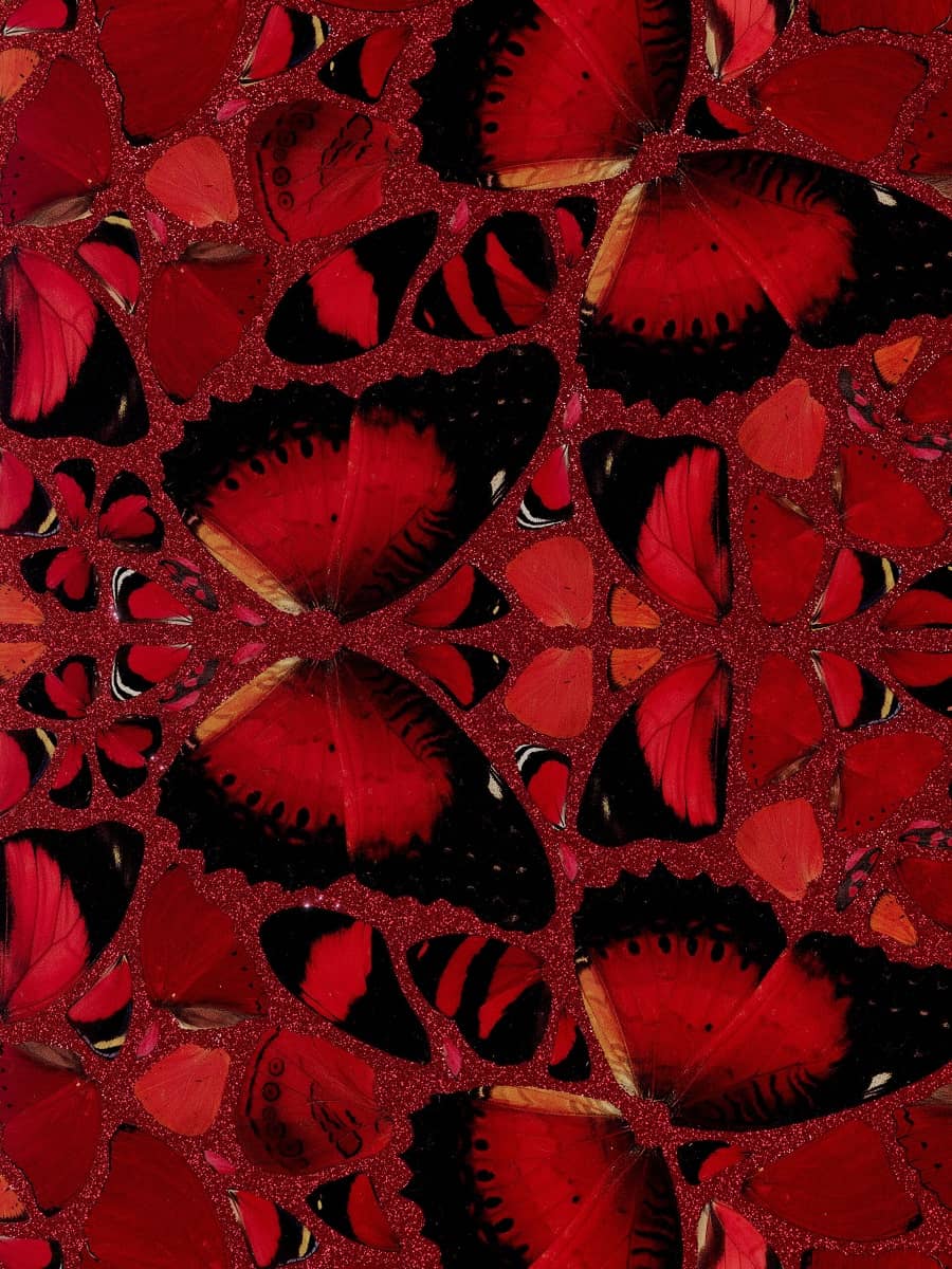 Damien Hirst - H10-2 Nūr Jahān (The Empresses)