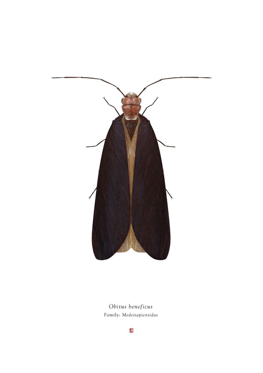 Richard Wilkinson -  Obitus Beneficus (Obi Wan Kenobi) - (Star Wars Insects - A2 Print)
