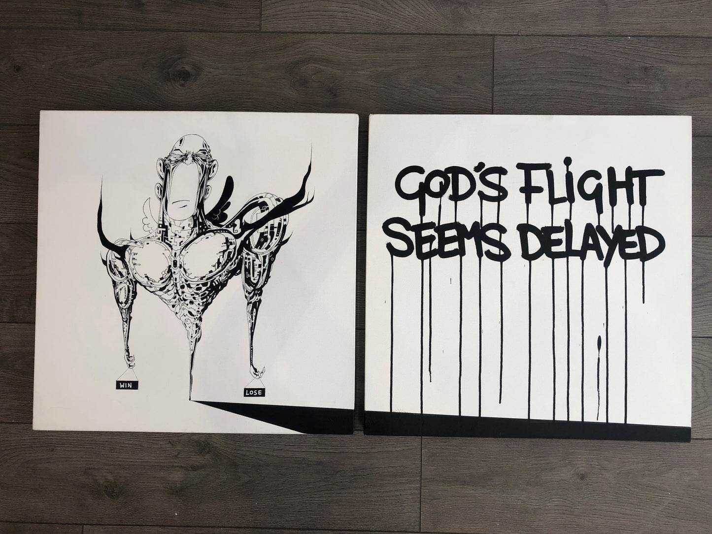 Laser 3.14 - God's Flight (Diptych)