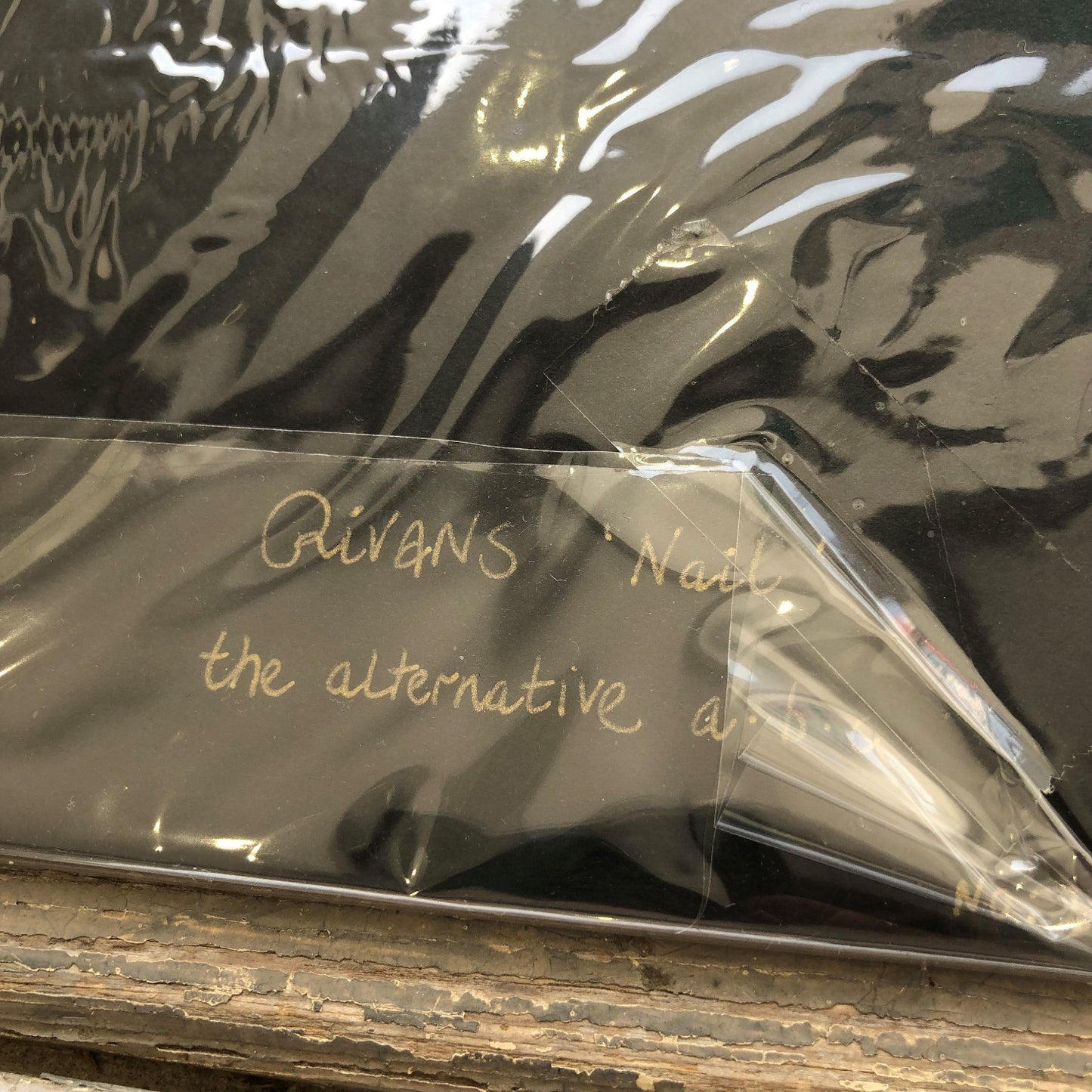 Maria Rivans - Alternative ABC (Nail)