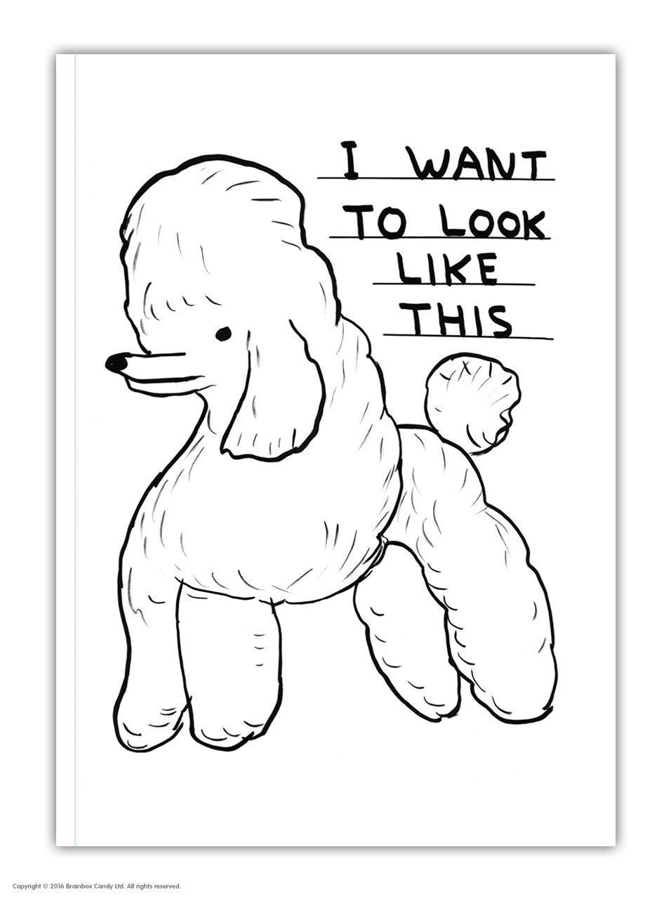 David Shrigley - Notebook (View for choices!)