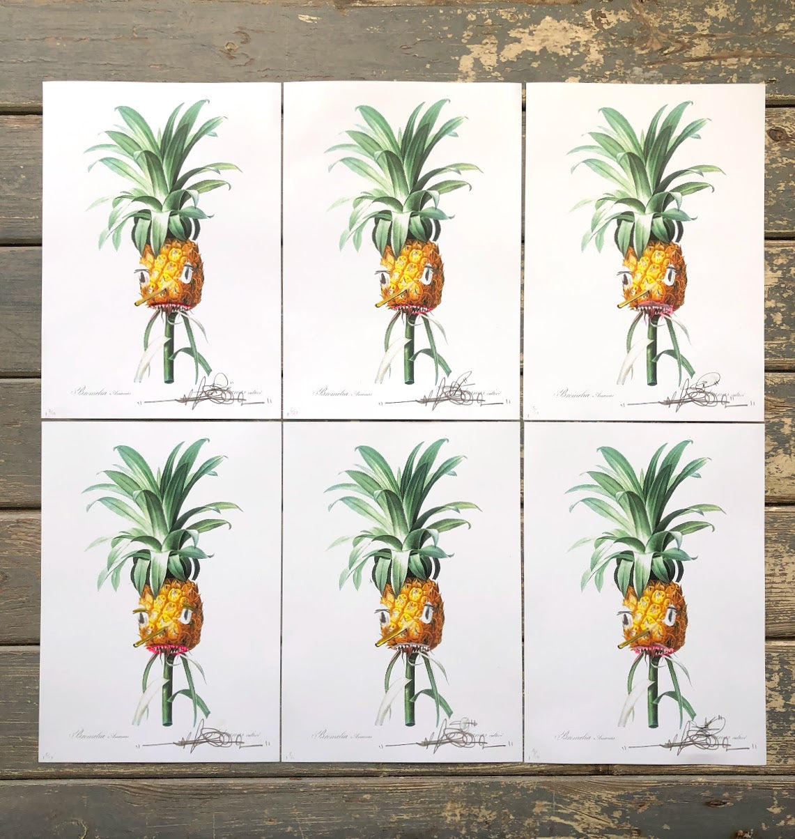 Stevie Unknown - Pineapple (Hand-Finished Print)