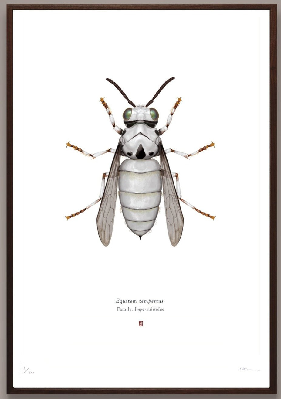 Richard Wilkinson - Equitem Tempestus (Storm Trooper) (Star Wars Insects - A2 Print)
