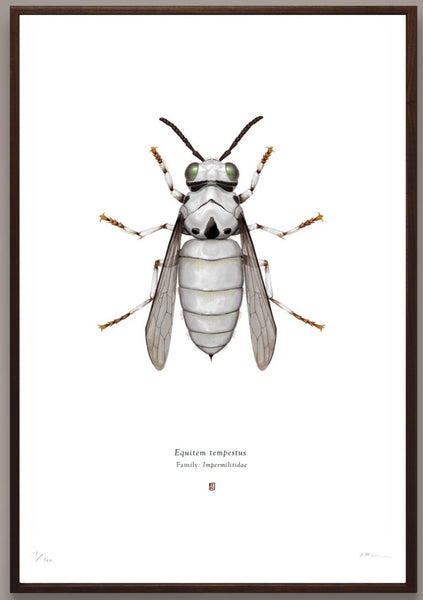 Richard Wilkinson - Equitem Tempestus (Storm Trooper) (Star Wars Insects - A2 Print)