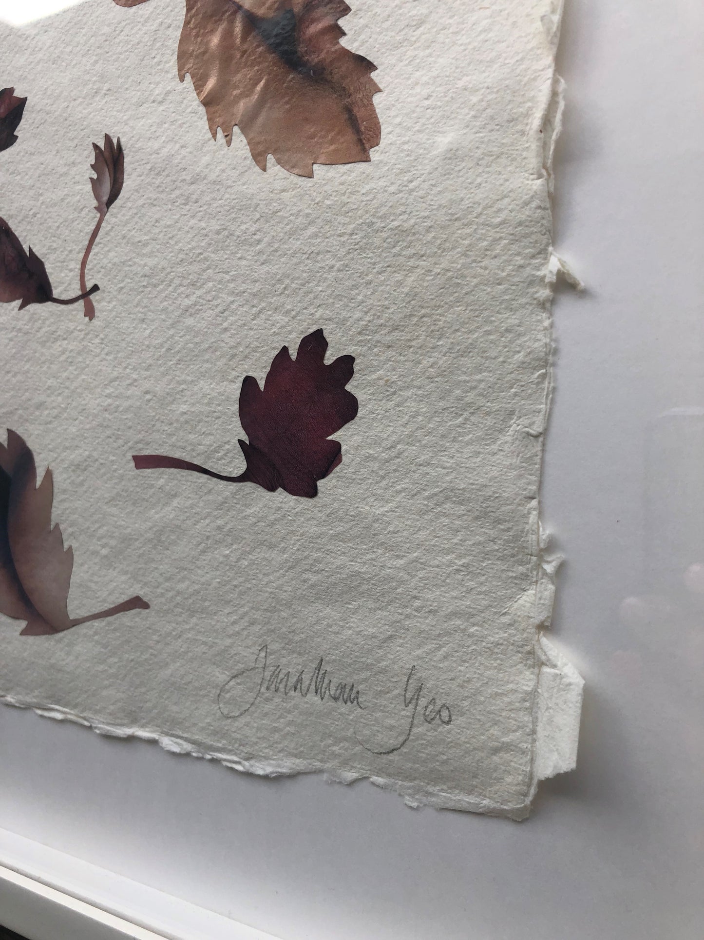 Jonathan Yeo - Leaf Study