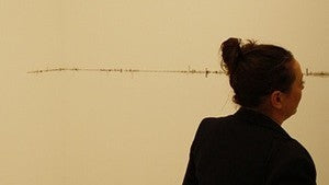 Alex Dipple