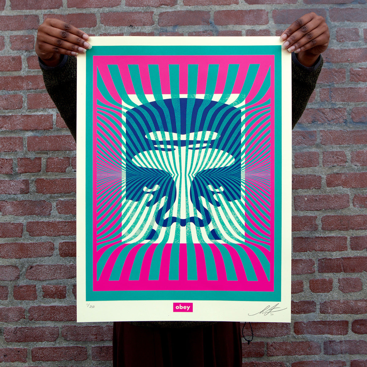 Shepard Fairey - Op-Art Icon (Aqua)