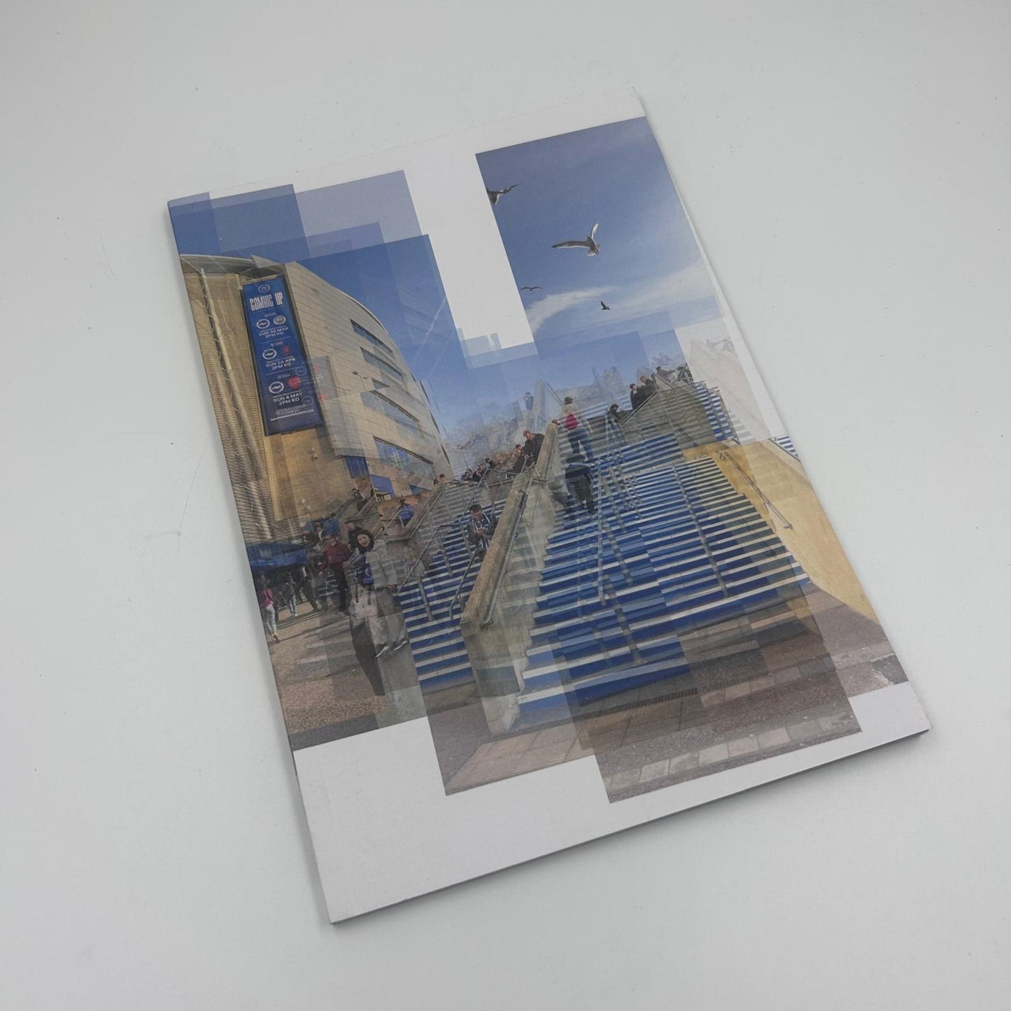 Dogma Issue 15 - Brighton & Hove Albion Fanzine