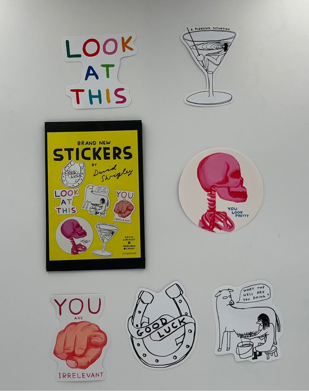 David Shrigley - Sticker Pack (View to see choices)
