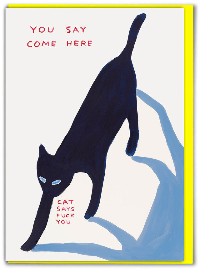 David Shrigley - Greeting Cards (Colour)