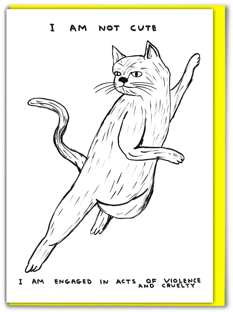 David Shrigley - Greeting Cards (Black & White)