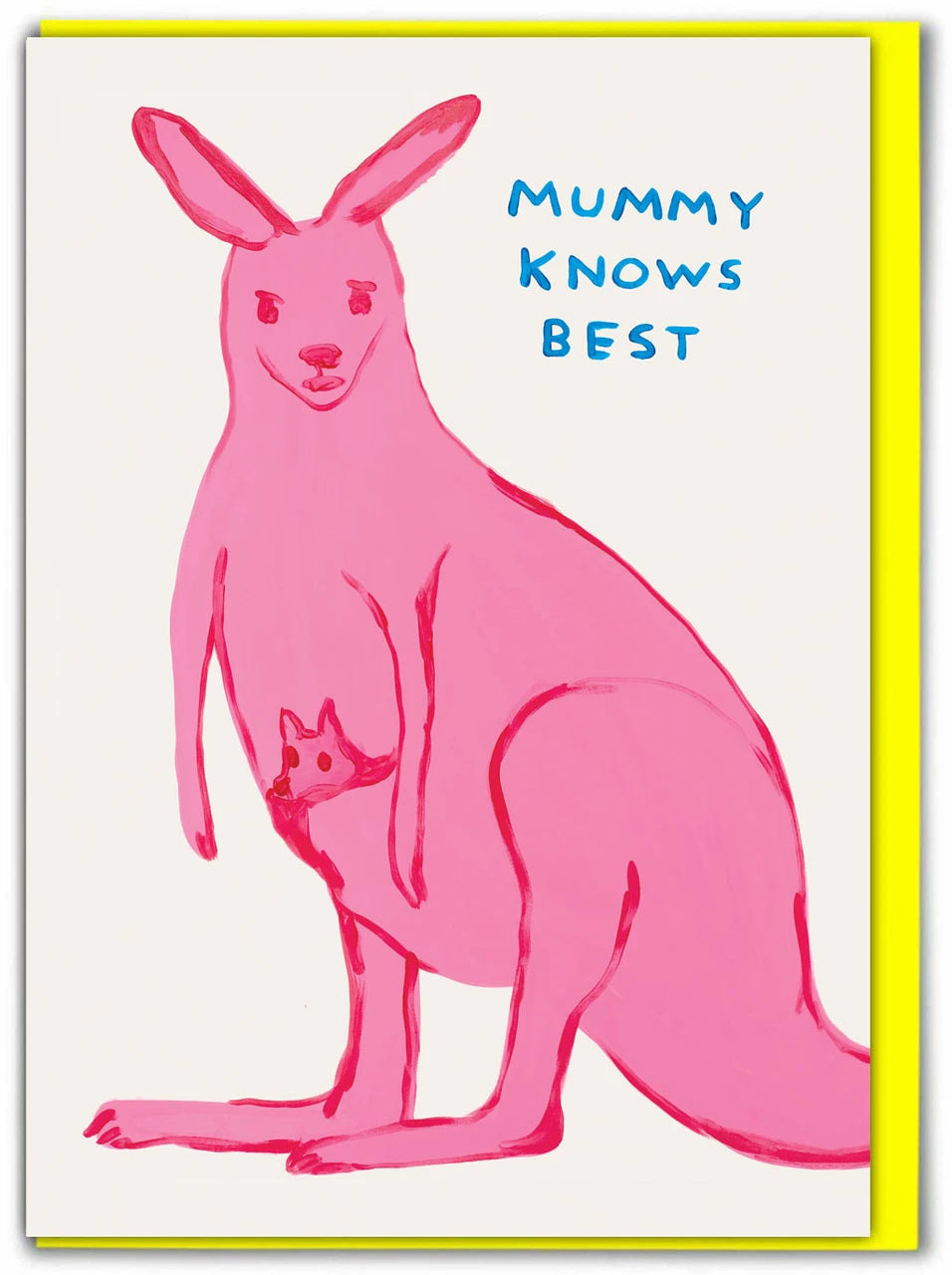 David Shrigley - Greeting Cards (Colour)