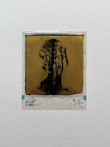 Andrew Millar - Rise (Gold Leaf Polaroid)
