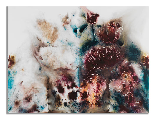 Cai Guo-Qiang - Yin Yang Peonies (Framed)