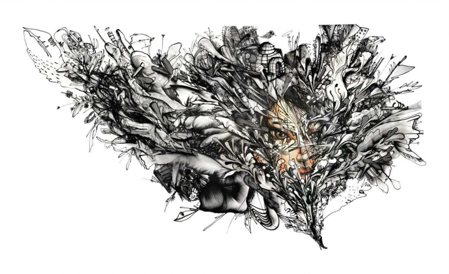 David Choe - Bird Flu