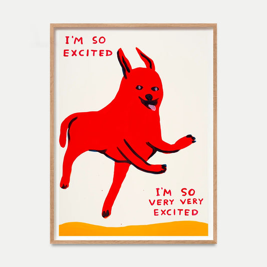 David Shrigley - I Am Excited