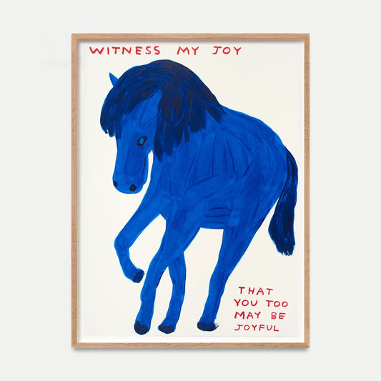 David Shrigley - Witness My Joy