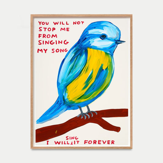David Shrigley - You Will Not Stop Me From Singing My Song
