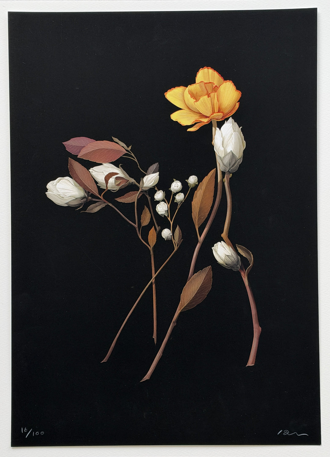 Richard Wilkinson - Bambi (Signed Print - A2 or A3 Size)