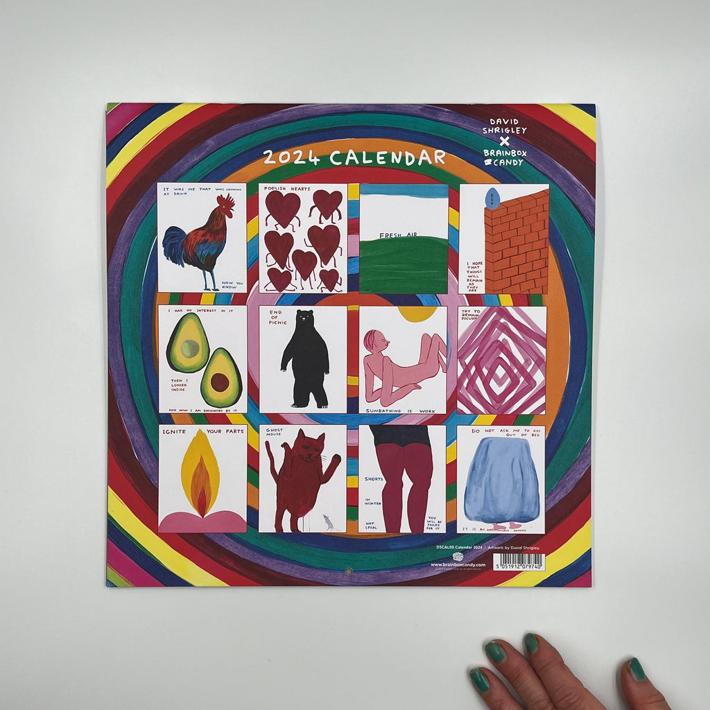 David Shrigley 2024 Calendar Prescription Art