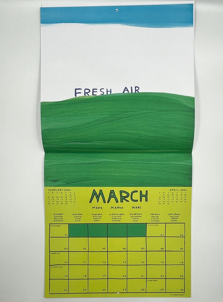 David Shrigley 2024 Calendar Prescription Art