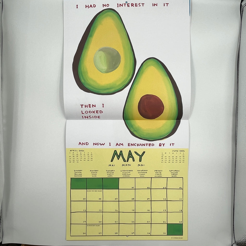 David Shrigley 2024 Calendar Prescription Art