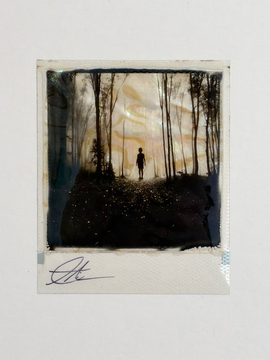Andrew Millar - The Way Through (Framed Polaroid)