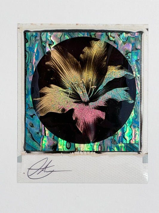 Andrew Millar - Beyond Darkness (Framed Polaroid)