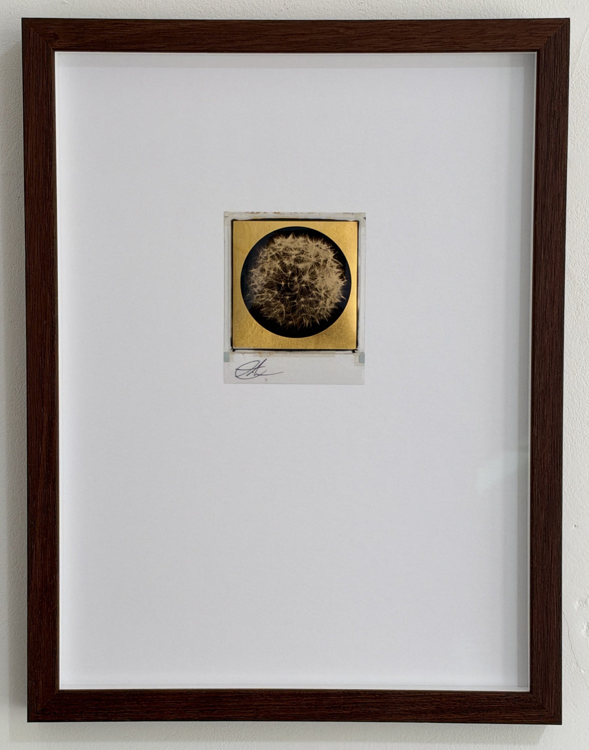 Andrew Millar - Growth (Framed Polaroid)