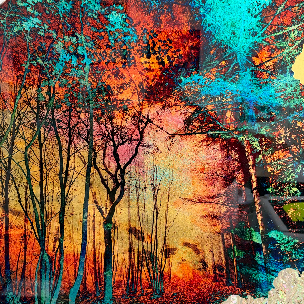 Andrew Millar - Solace (Large Framed Disc)