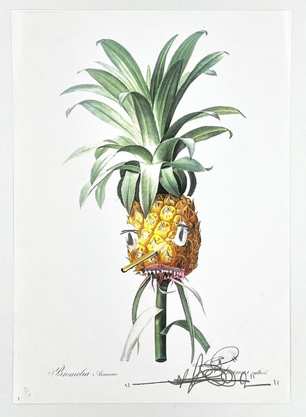 Stevie Unknown - Pineapple Print