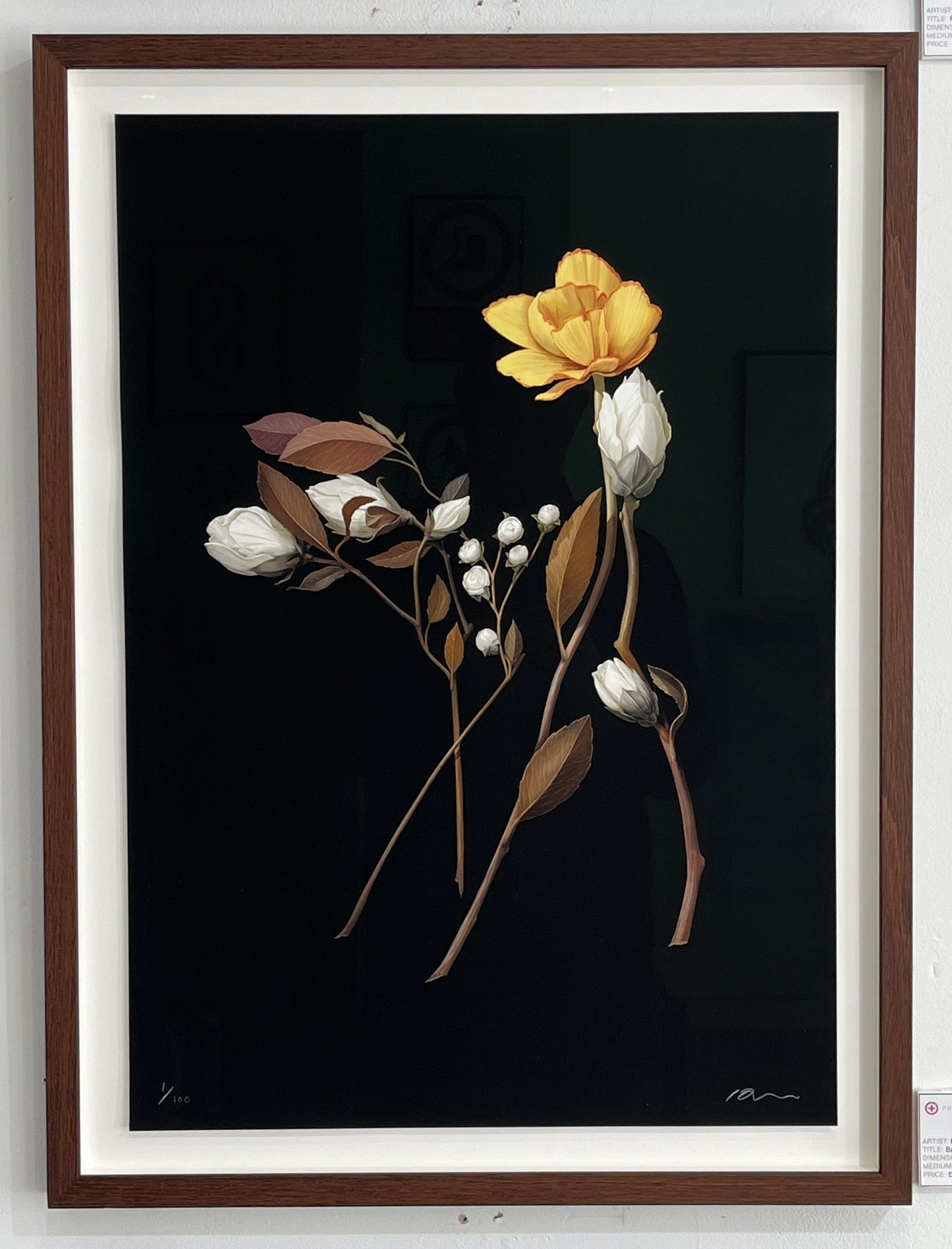 Richard Wilkinson - Bambi (Signed Print - A2 or A3 Size)