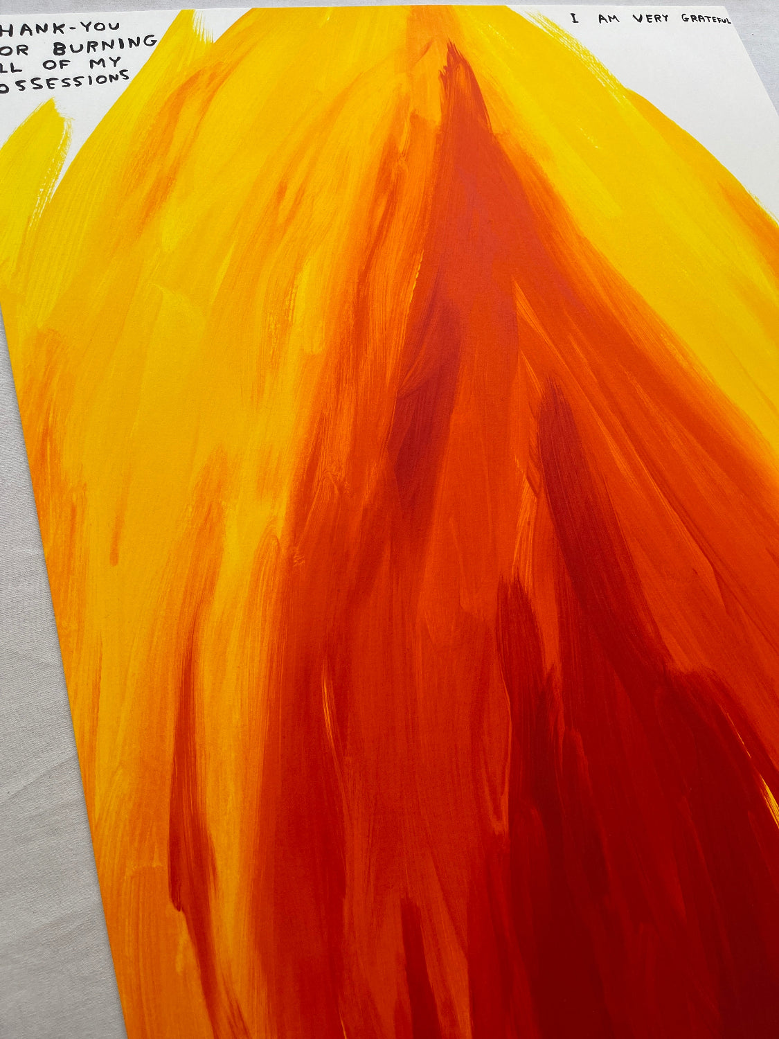 David Shrigley - Thank You For Burning My Possessions