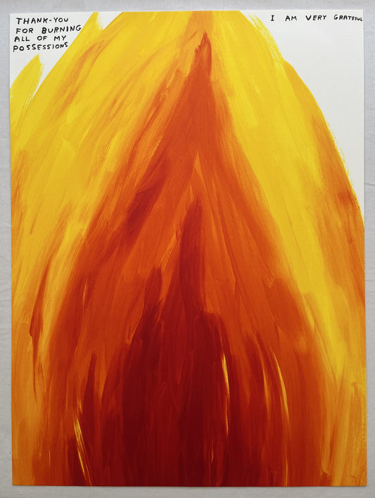 David Shrigley - Thank You For Burning My Possessions