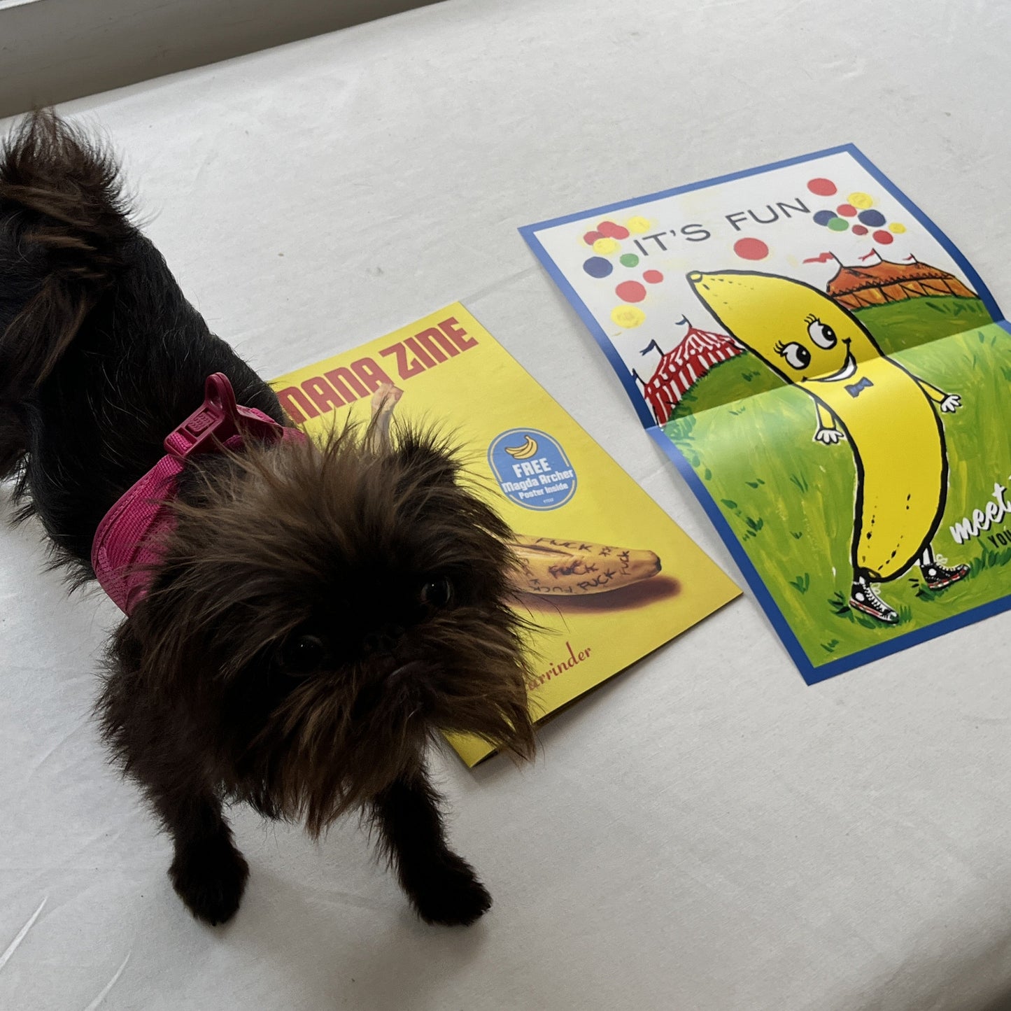 Ellis Parrinder - Banana Zine (With Magda Archer Poster)