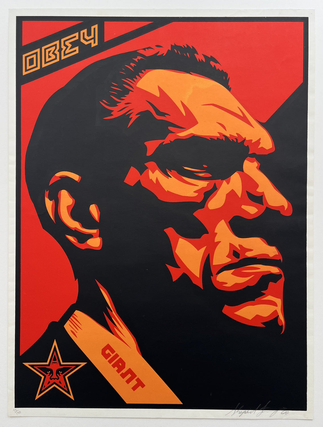 Shepard Fairey - Big Brother Profile