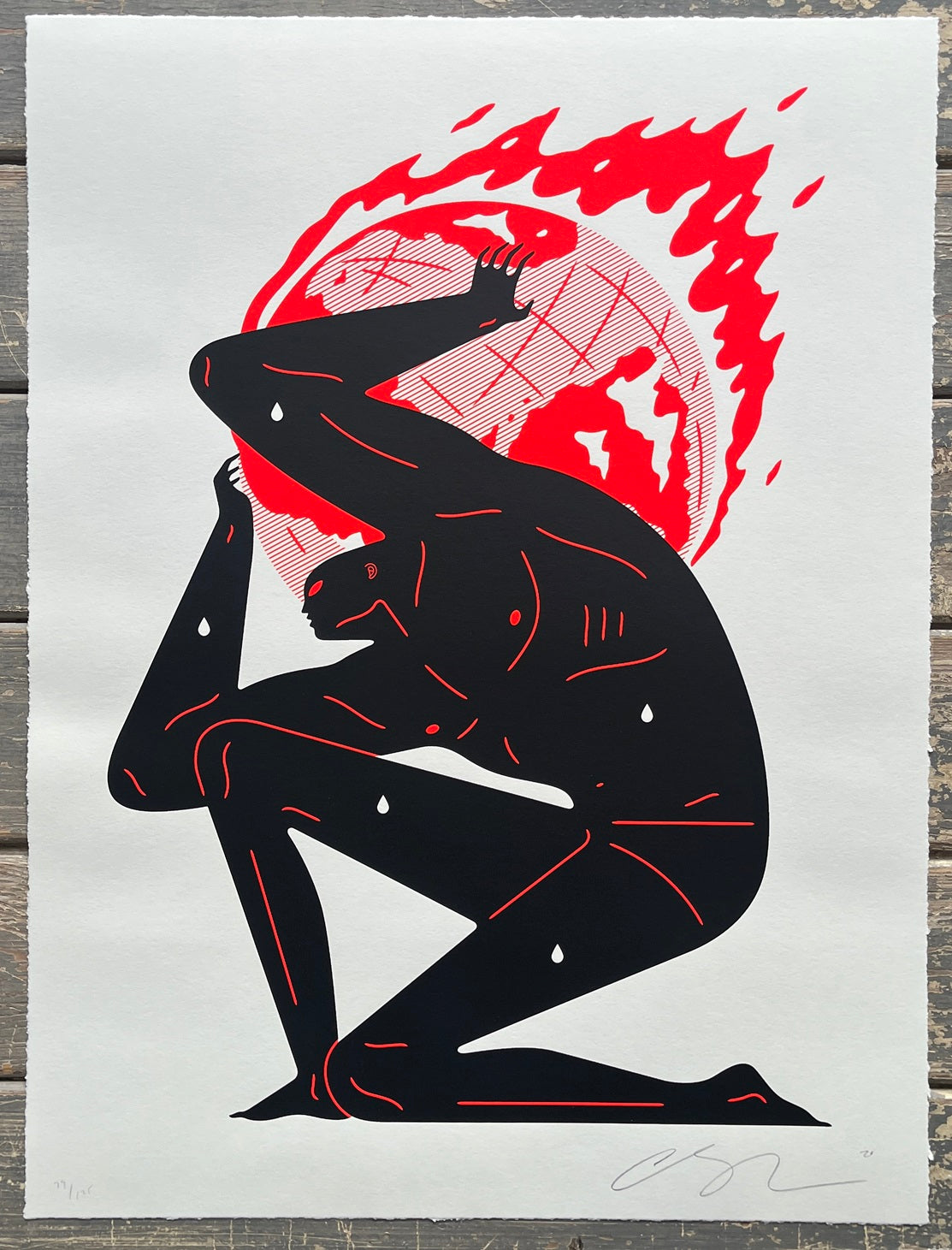 Cleon Peterson - World On Fire