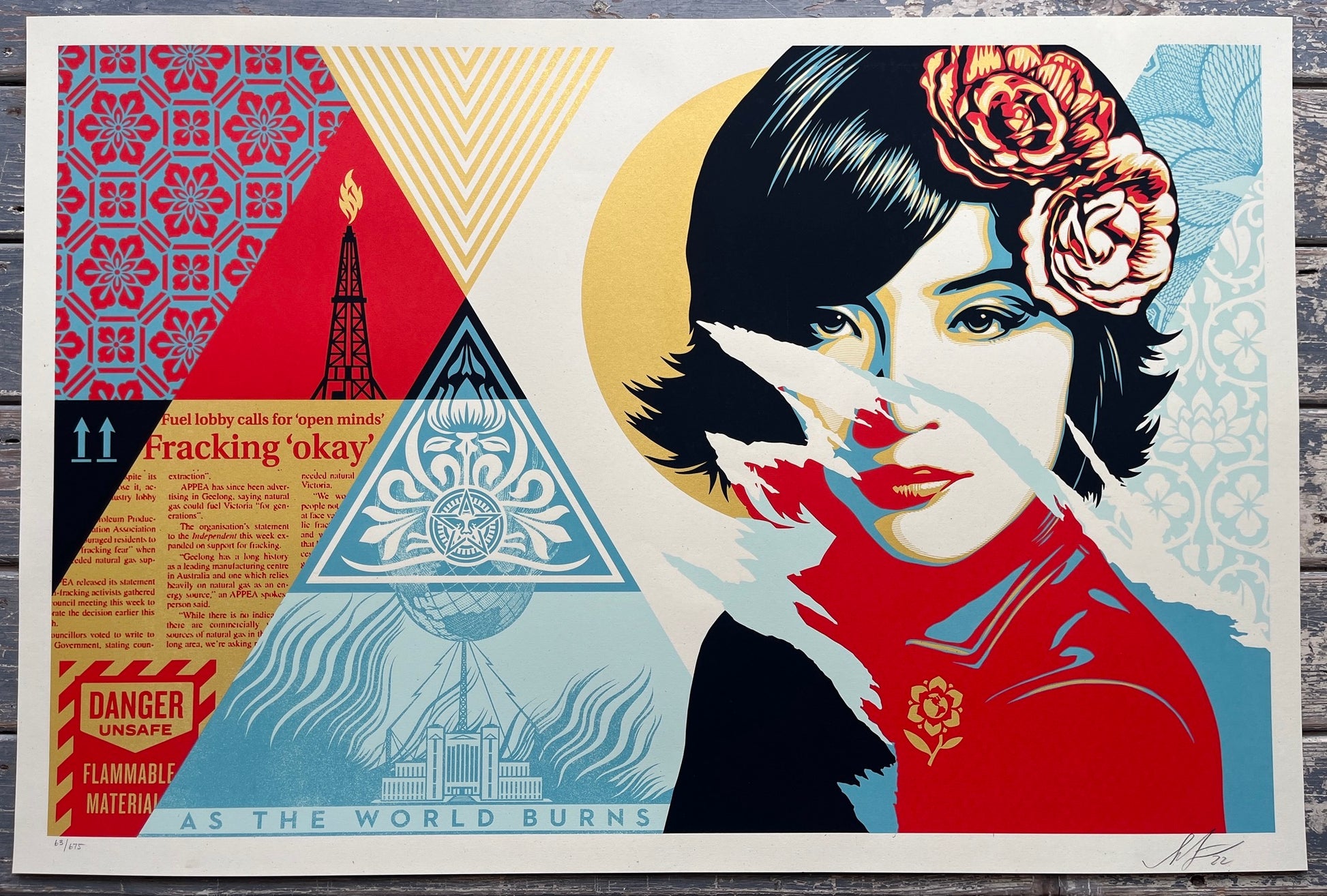 Shepard Fairey - Open Minds