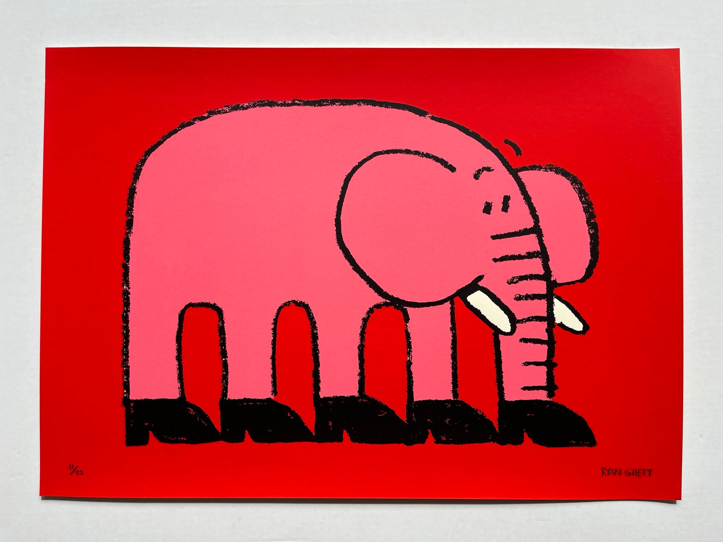 Ryan Gillett - Elephant Shoes