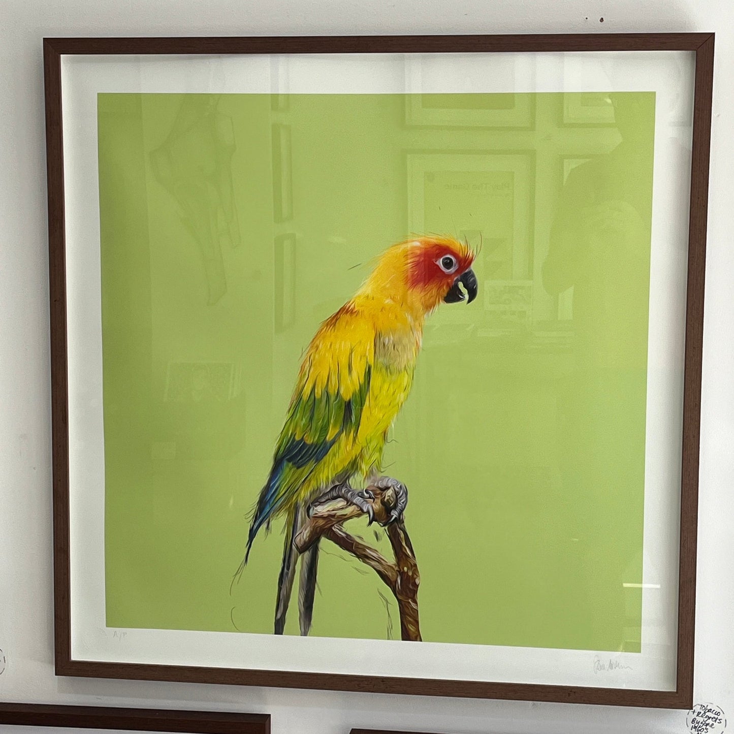 Stevie Anderson / International Feel - Sketches From An Island (Side D) - XXL Framed AP
