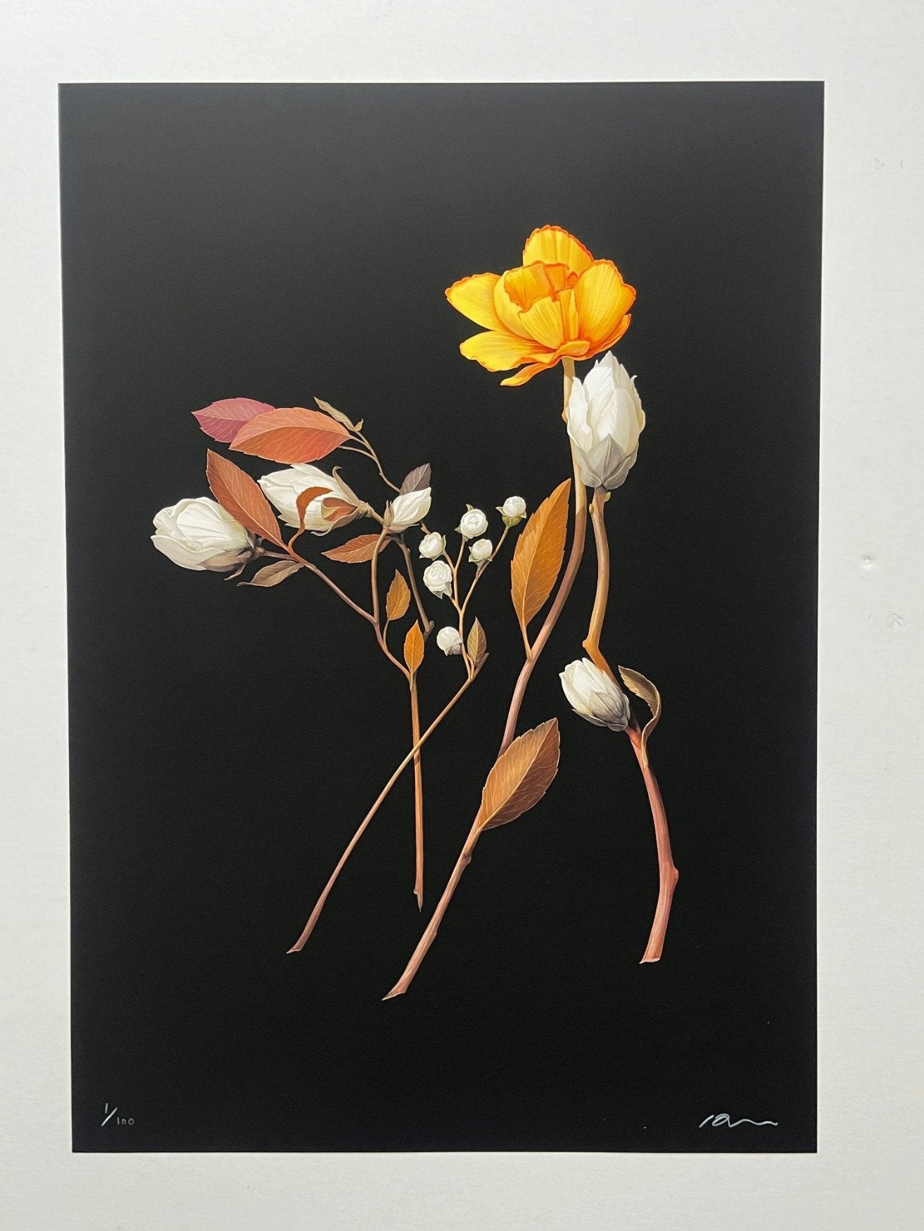 Richard Wilkinson - Bambi (Signed Print - A2 or A3 Size)