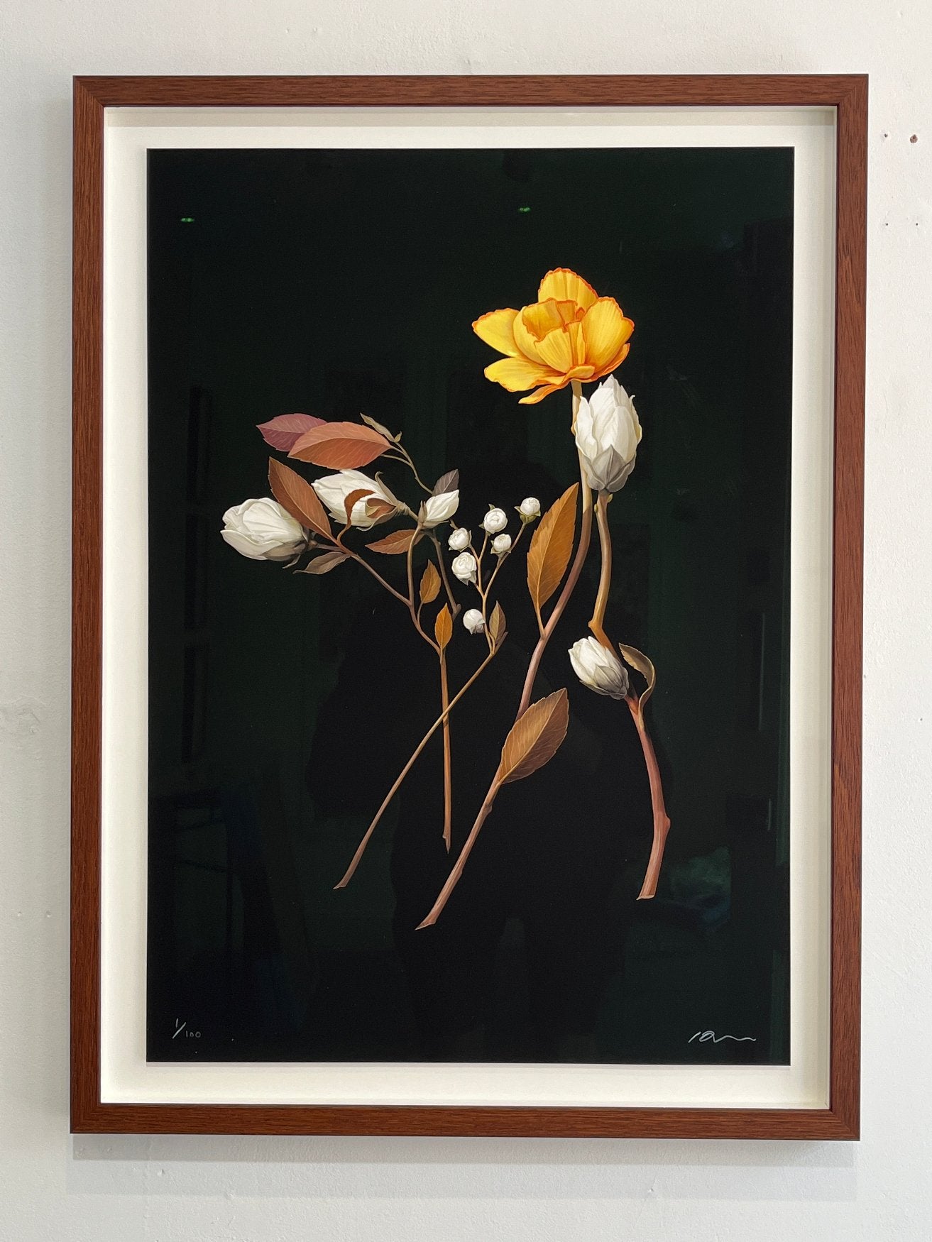 Richard Wilkinson - Bambi (Signed Print - A2 or A3 Size)
