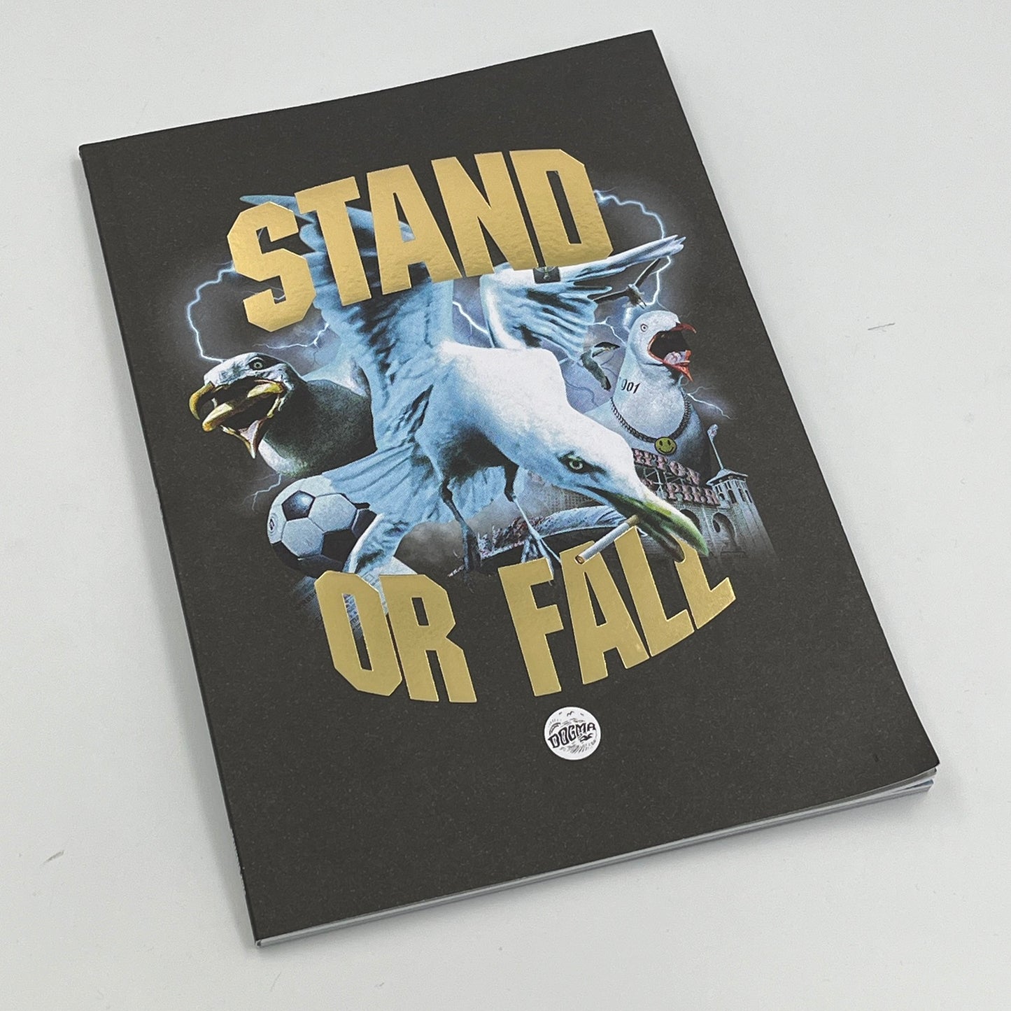 Dogma Issue 13 - Brighton & Hove Albion Fanzine