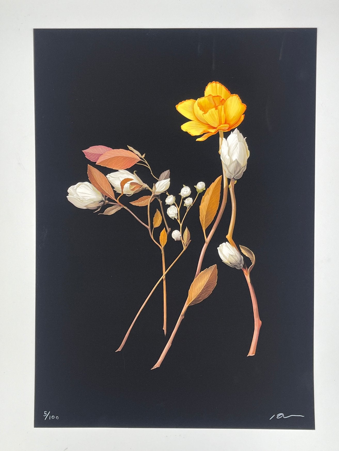 Richard Wilkinson - Bambi (Signed Print - A2 or A3 Size)
