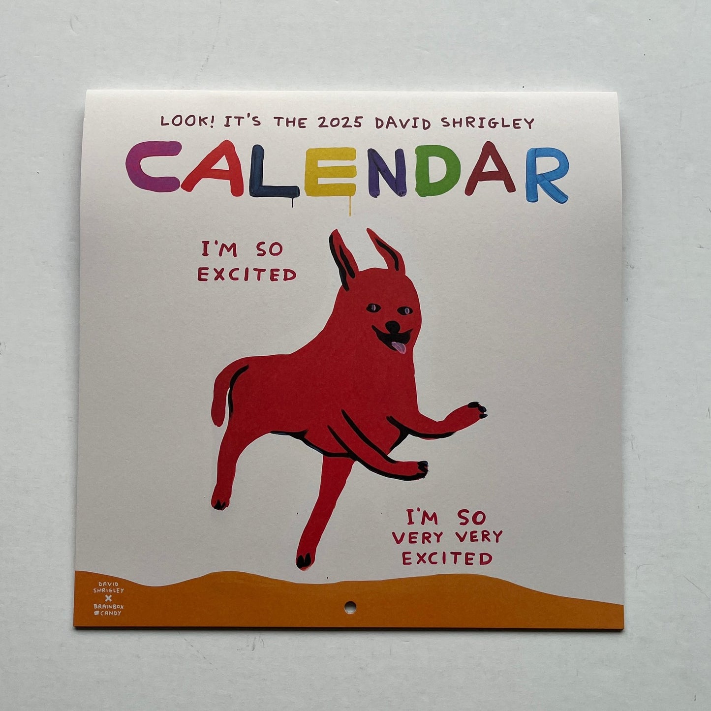 David Shrigley - 2025 Calendar