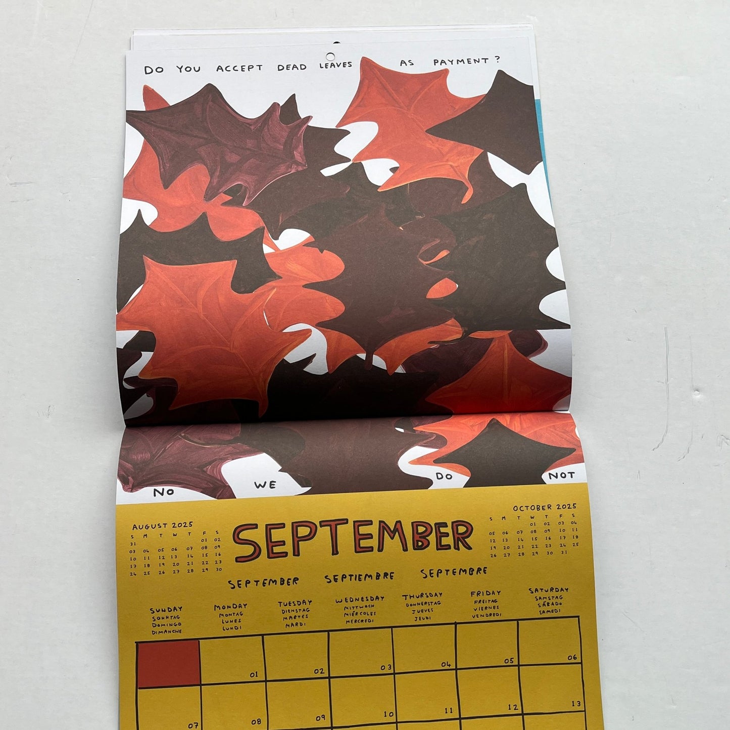 David Shrigley - 2025 Calendar