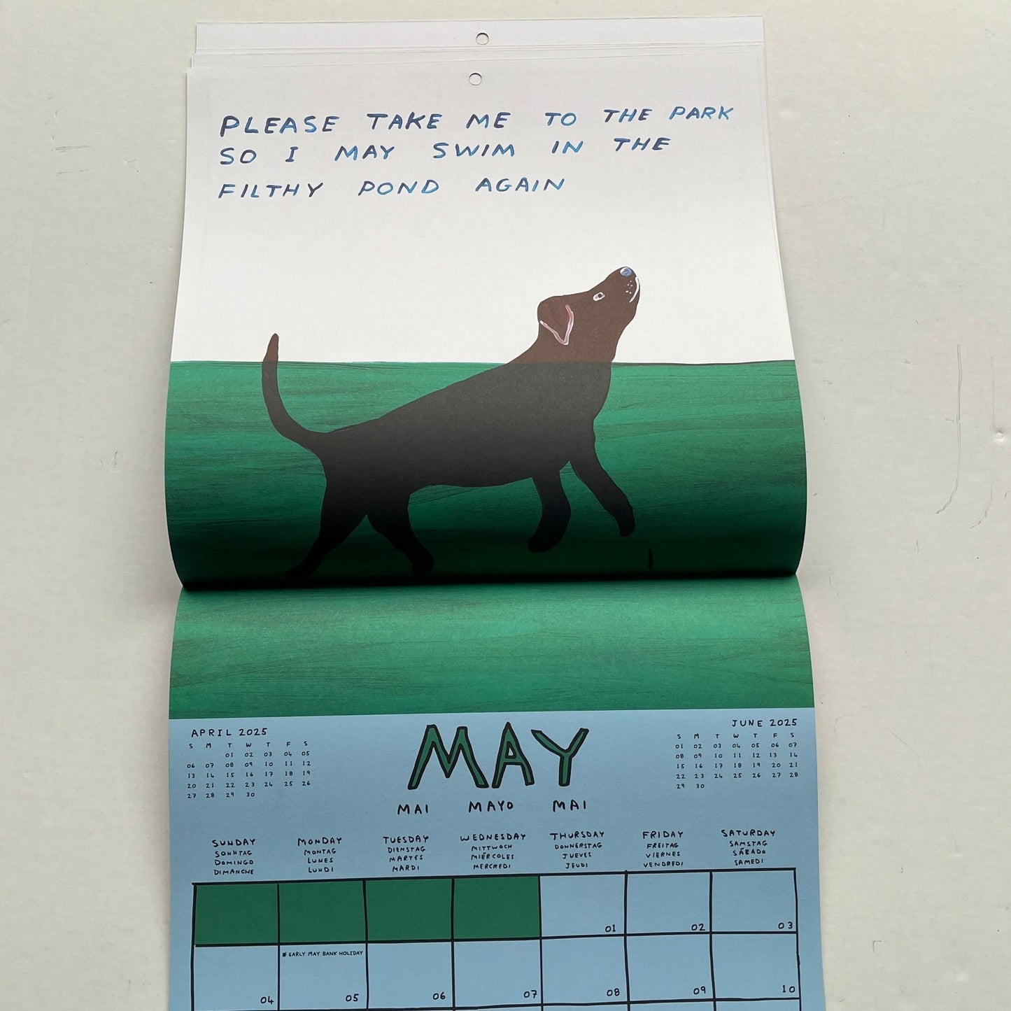 David Shrigley - 2025 Calendar